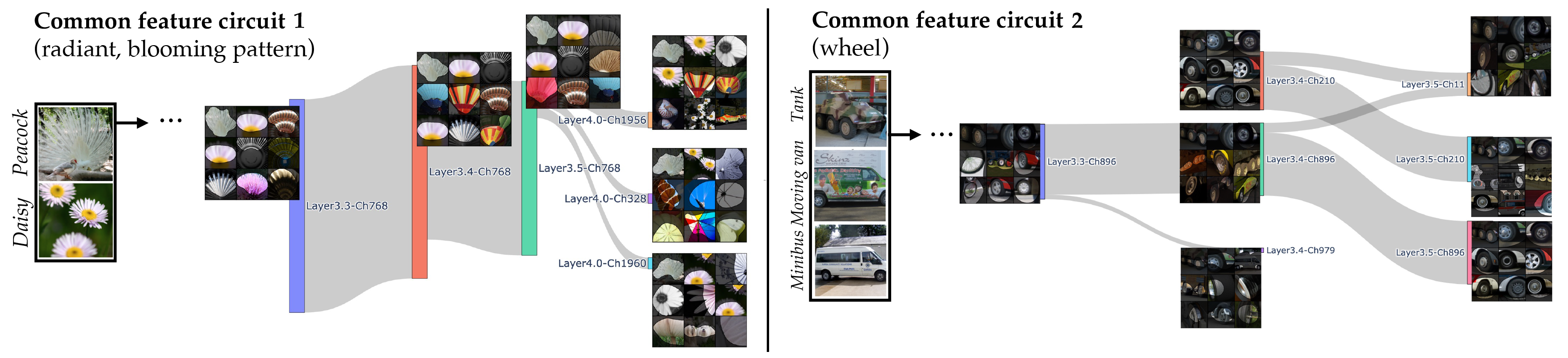 A visualization of Granular Concept Circuits for different classes of images.